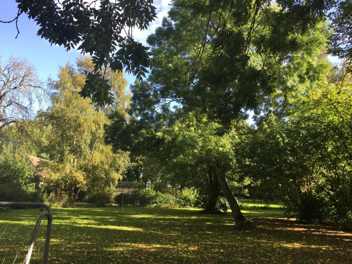 Ferienhaus 1 _ Ferien Im Gutspark Mattchow エクステリア 写真