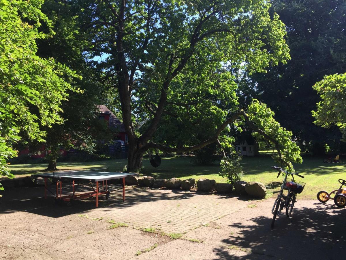 Ferienhaus 1 _ Ferien Im Gutspark Mattchow エクステリア 写真